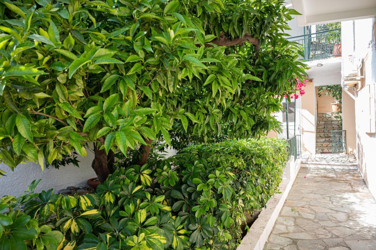 Villa Sofia Sea View Poros Town Ngoại thất bức ảnh